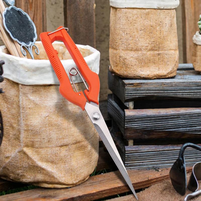 Vegetable Patch Bonsai Professional Joinery Grape Scissors Pruning Shears Garden Tool Stainless Steel Fruit Picking With Lock