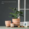 Red Clay Breathable Minimalist Terracotta Flower Pot with Feet for Succulents and Pothos - Round Design, Free Shipping