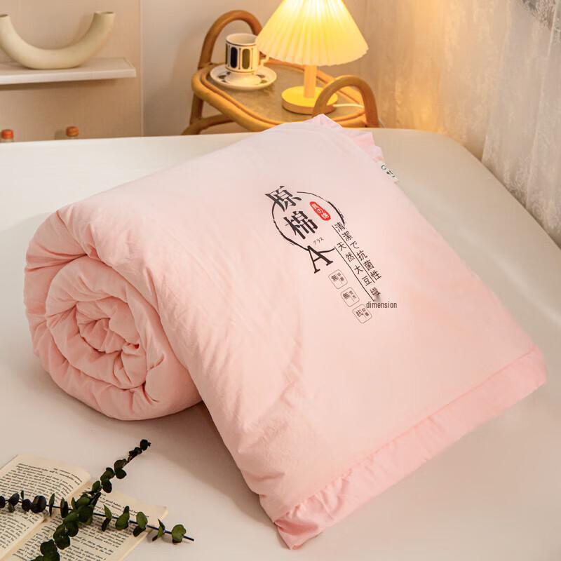 Arctic Velvet Soybean Fiber All-Season Quilt