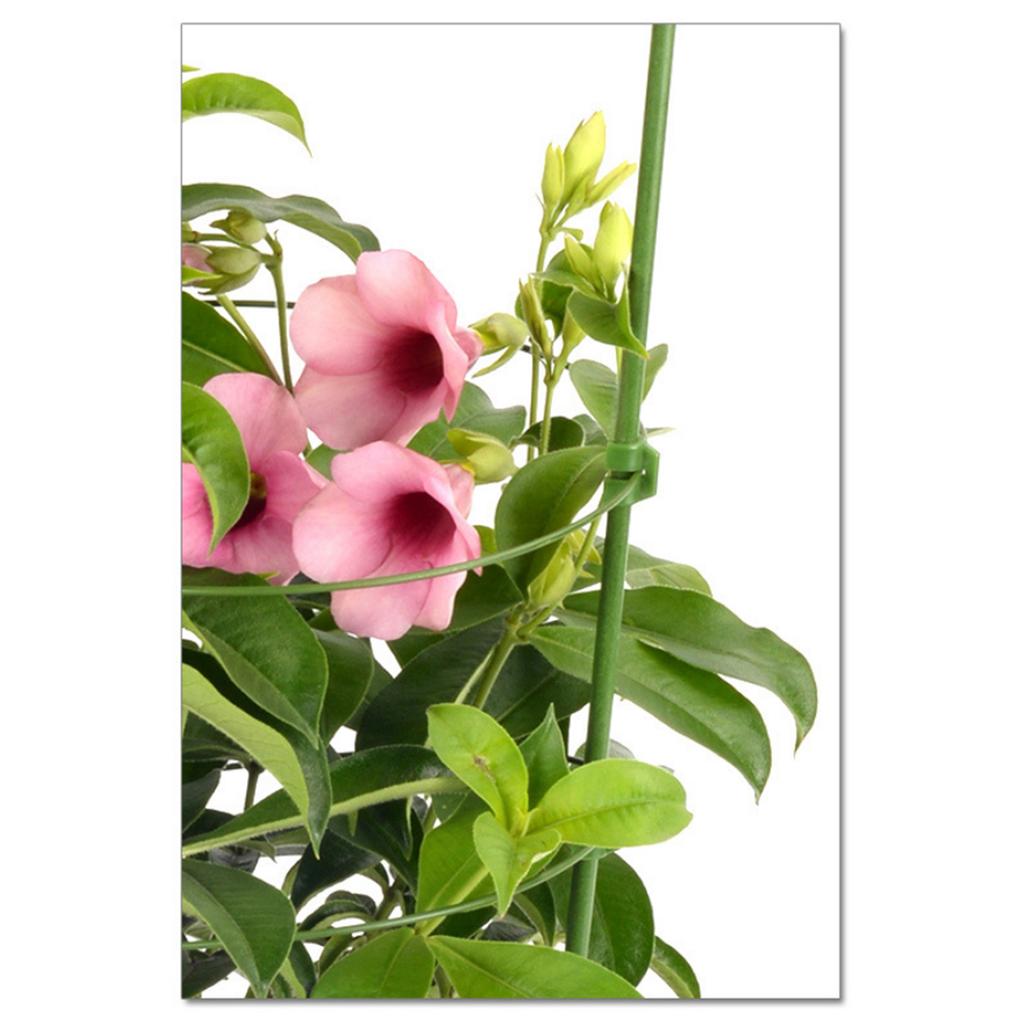 1Pc/3Pcs/5Pcs Garden Trellis Plant Support Cages Stakes for Garden Climbing Plants Flower Vegetable