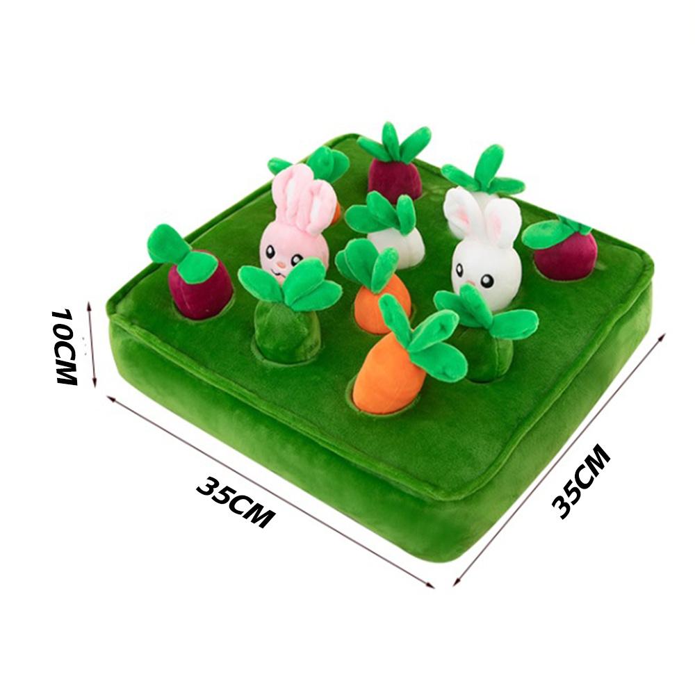 Pull Radish Carrot Toy With 10 Carrots & 2 Rabbits Early Education Toys For Kids China Mainland