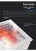 Double-Slot Ultrasonic Cleaner for Industrial Semiconductor & Electronic Equipment