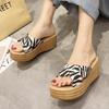 Ladies' Slippers Thick Soled Beach Shoes Fashionable and Casual Sandals