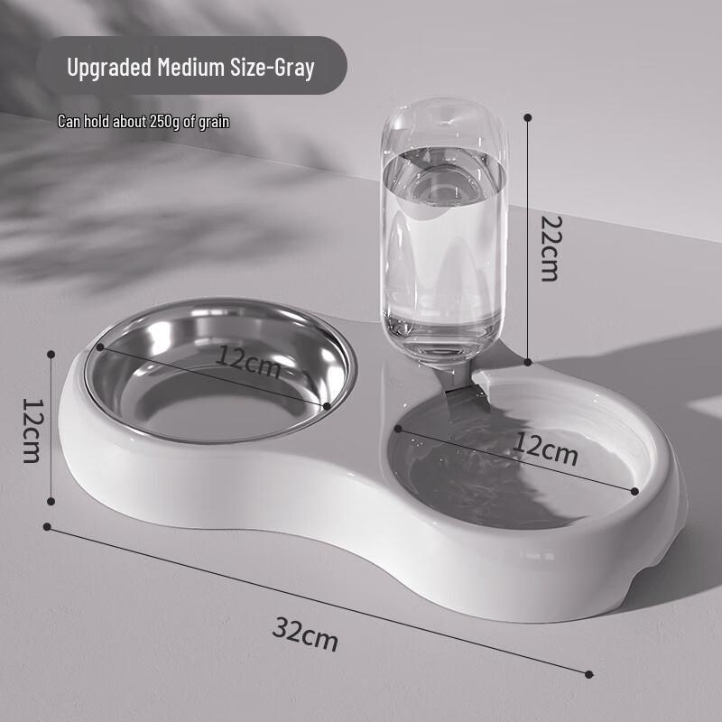 2-in-1 Automatic Pet Food and Water Dispenser