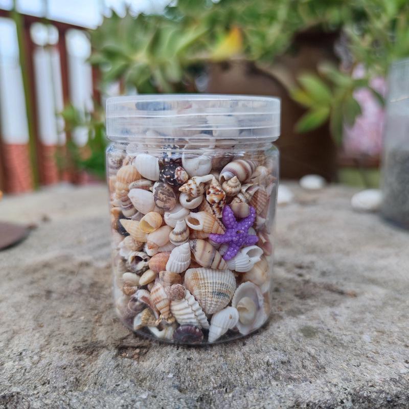 Mini Colorful Seashell Mix (0.5-2CM) In Transparent Storage Jar