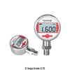 Jinghong Digital Pressure Gauge