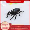Solar-Powered Spider Toy - DIY Creative Gift for Children