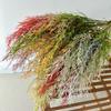 Artificial Arundinacea Phalaris Floral Decor For Living Room And Prop Photo