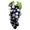 Lifelike Faux Grapes Bunch Display Ornament for Decorative Purposes In Homes Weddings Restaurants and Photo Shoots