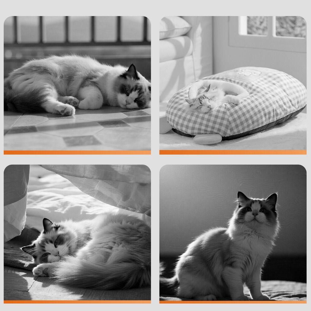 Semi-Enclosed Pet Warm Nest Cartoon Cat Cave Bed Pet Cave Cat Sleeping Bag  Indoor