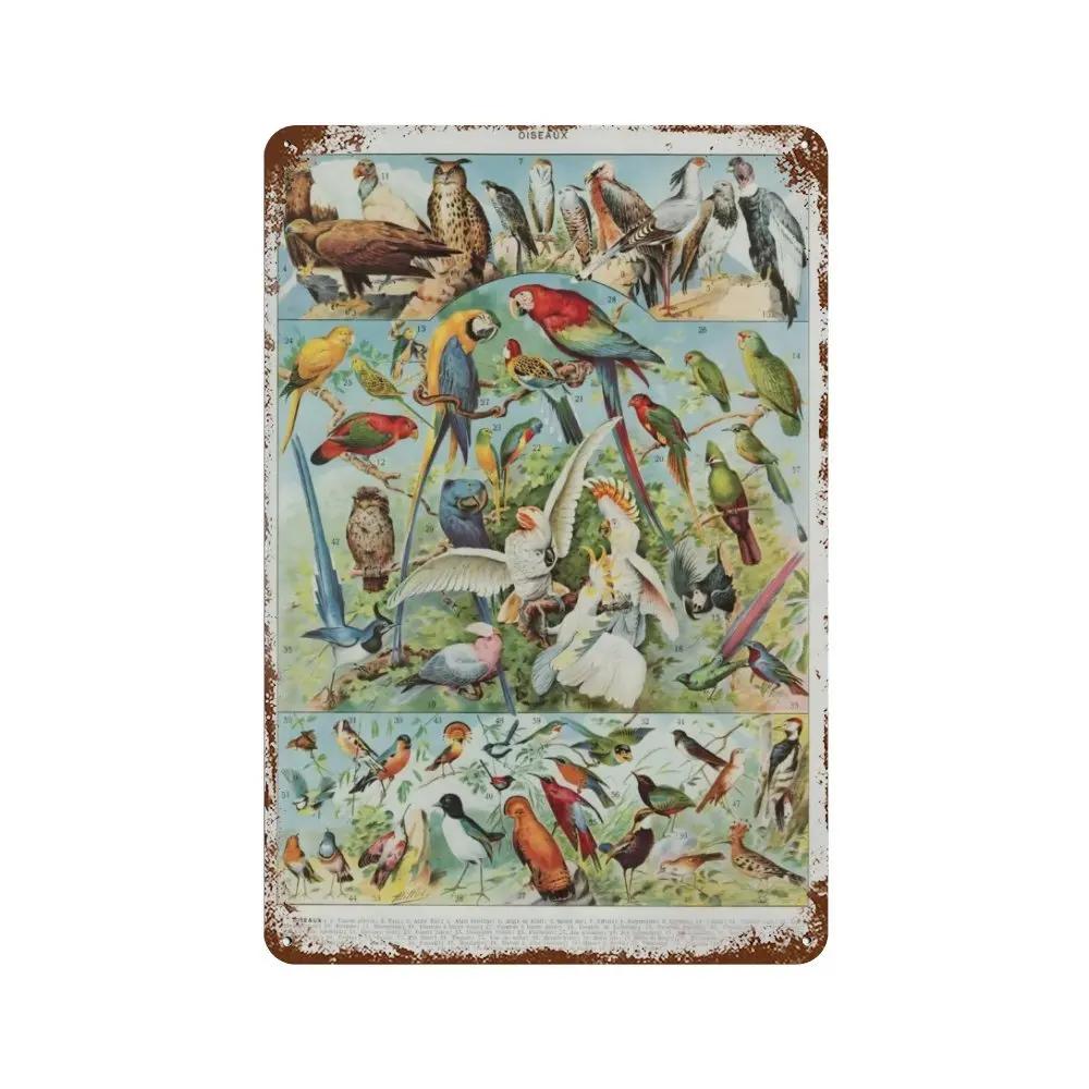 Vintage Pilz Medizin Blume Insekt Schmetterling Gemüse Kürbis Karotte Metall Aluminium Schilder Heim Zimmer Garten Wandkunst Pla