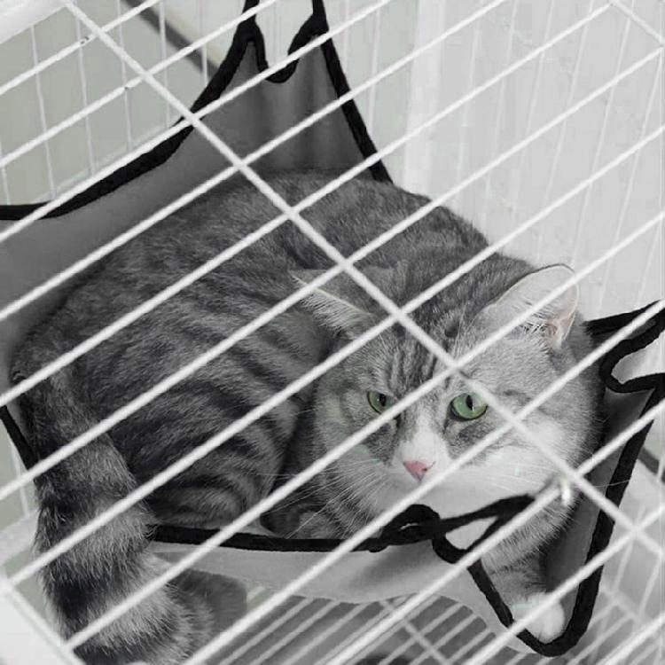 Soft Relax Cat Sleeping Hanging Bed Swing Hammock With Hook Solid Color