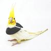 Yousheng Adjustable Parrot Recovery Collar Anti-Biting Injury Protection Fastener Tape Fixing Bird Collar Pet Bird Accessory