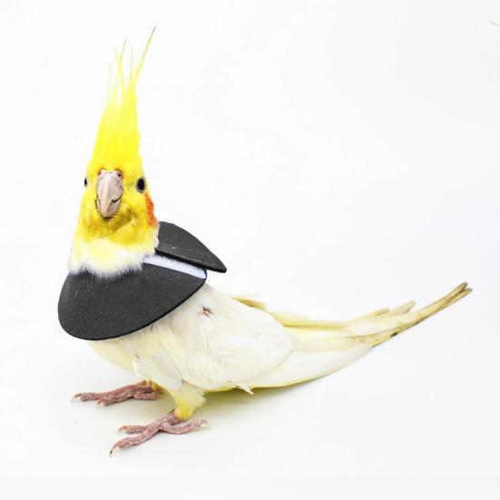 Yousheng Adjustable Parrot Recovery Collar Anti-Biting Injury Protection Fastener Tape Fixing Bird Collar Pet Bird Accessory