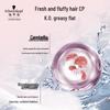 Schwarzkopf Volume and Nourishing Conditioner