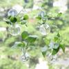 4pcs/set Self-Watering Plant Hydroponic Vase Transparent Hanging Fish Tank  Living Room
