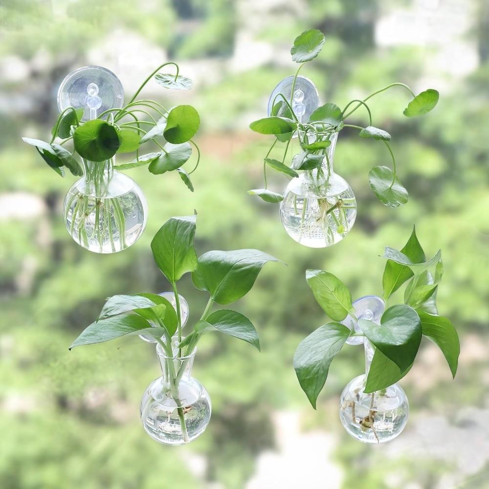 4pcs/set Self-Watering Plant Hydroponic Vase Transparent Hanging Fish Tank  Living Room