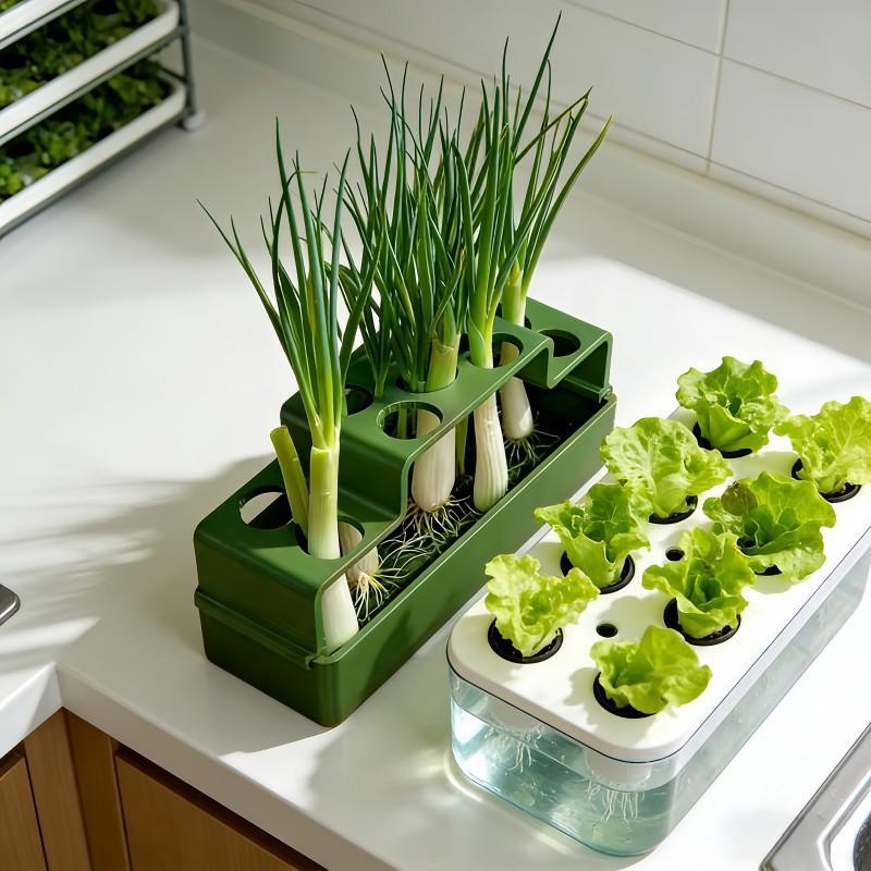 1Pcs Lettuce Sprout Planting Pot Plastic Chives Seedling Tray Coriander Ventilated Water Cultivation Box Vegetable Growing