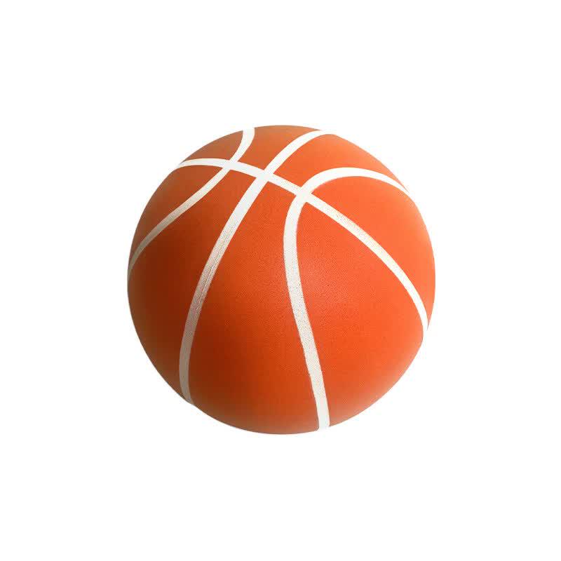 LISM Professional Weighted Silent Indoor Basketball