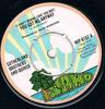 7inch Record SUTHERLAND BROTHERS QUIVER  I Dont Wanna Love You But You Go WIP6157 ISLAND 1973 UK Rock Used