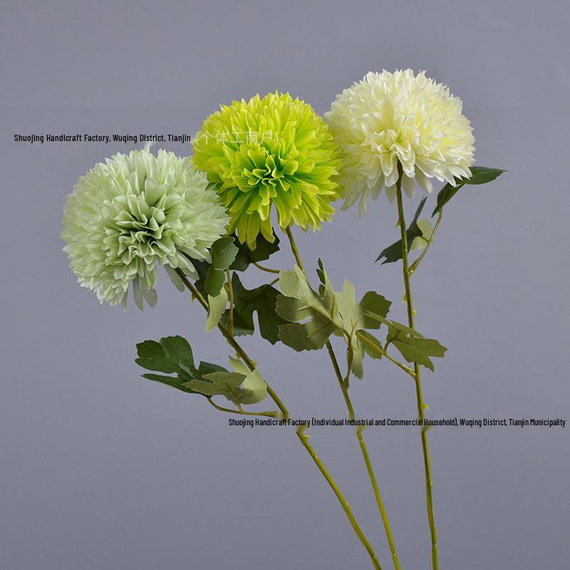 Green Onion Ball Single Stem Chrysanthemum Gift Box Bouquet and Floor Stand Accessories
