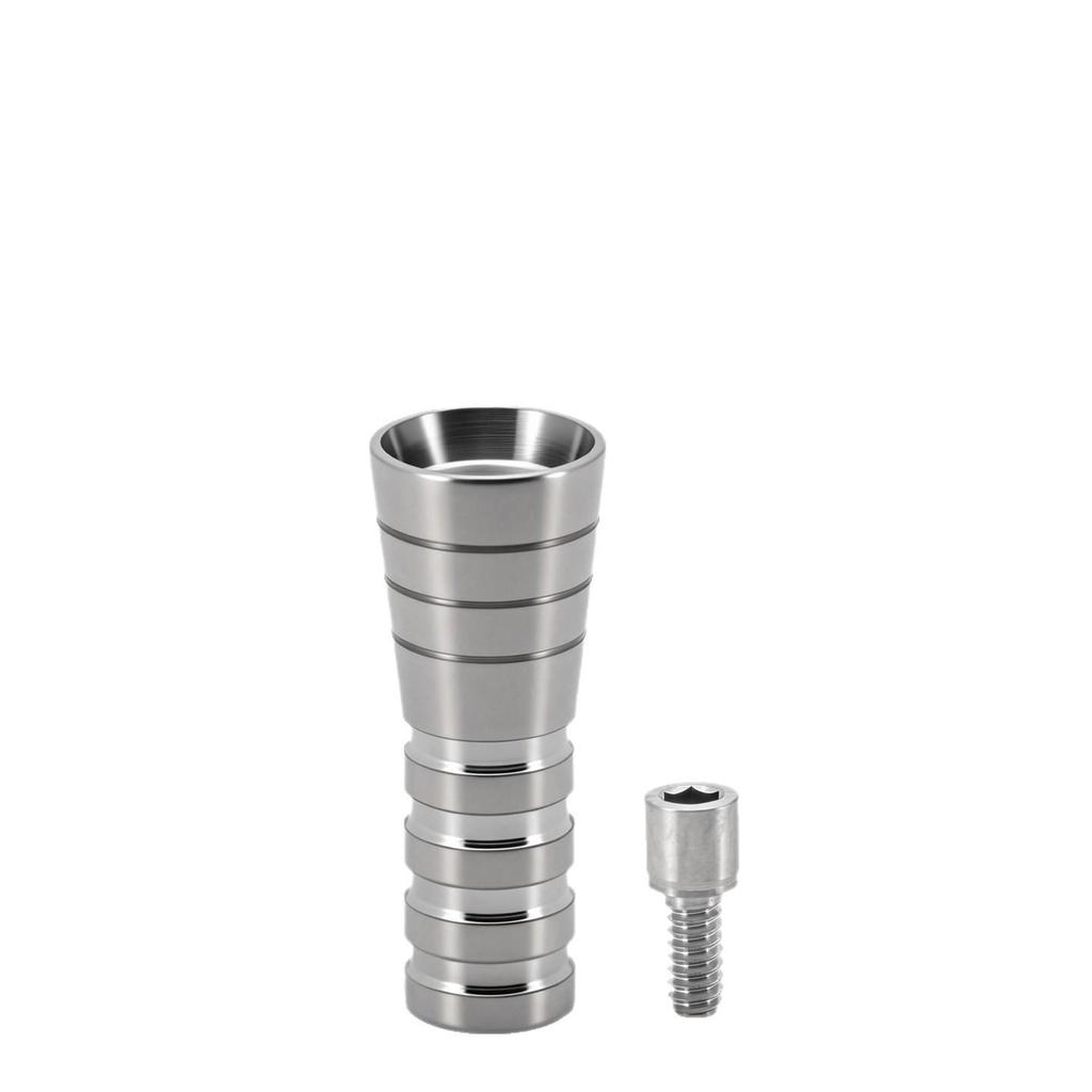 Suitable Android ANT Temporary Baseplate Titanium Bridge Screw for Immediate Load-Bearing Transfers