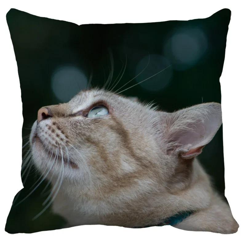 Lovely Pet Cat Pillow Cases Sleeping Bubble Black Cats Animal Cushion Cover Sofa Living Room Home Decorative Custom Pillowslip
