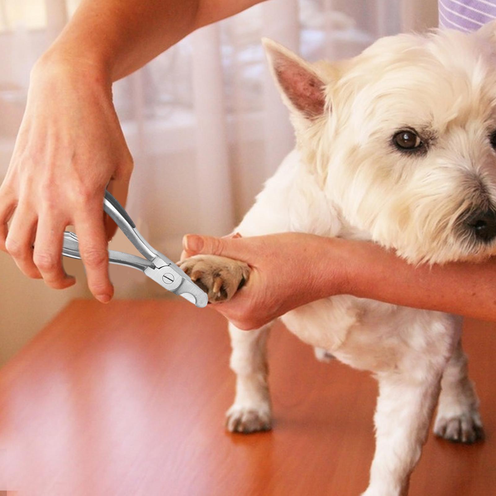 

Dog Nail Clippers For Large Dogs Heavy Duty Stainless Steel Cutter Pet Nail Clippers For Large Medium Breeds Travel Cat Pet CN