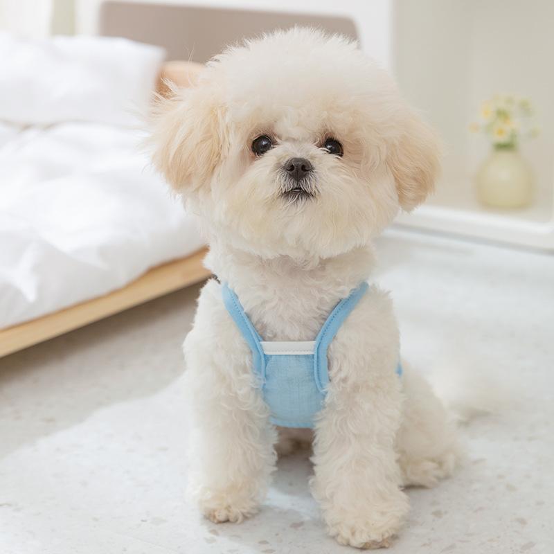

New dopamine bear suspender teddy bear fight spring summer dog clothes medium and small dog pet clothing XXL (recommended weight 15-10kg)
