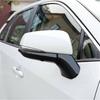 Carbon Fiber Rearview Side Mirror Strip Cover Trim For Toyota Highlander 2021-24