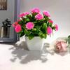 Flowers Eighteen Simulated Daisy Pine Cone Artificial Green Plant Potted Plant