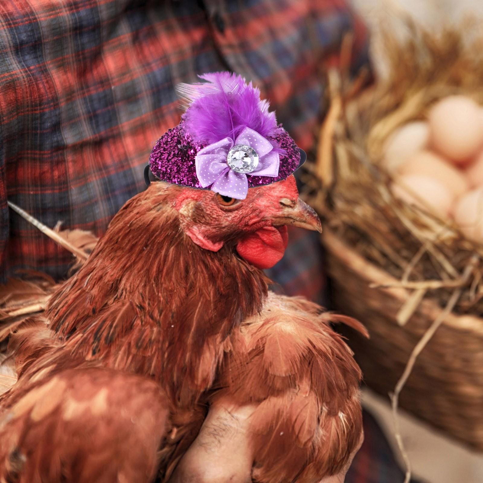 Куриные шляпы для курицы — фото 2