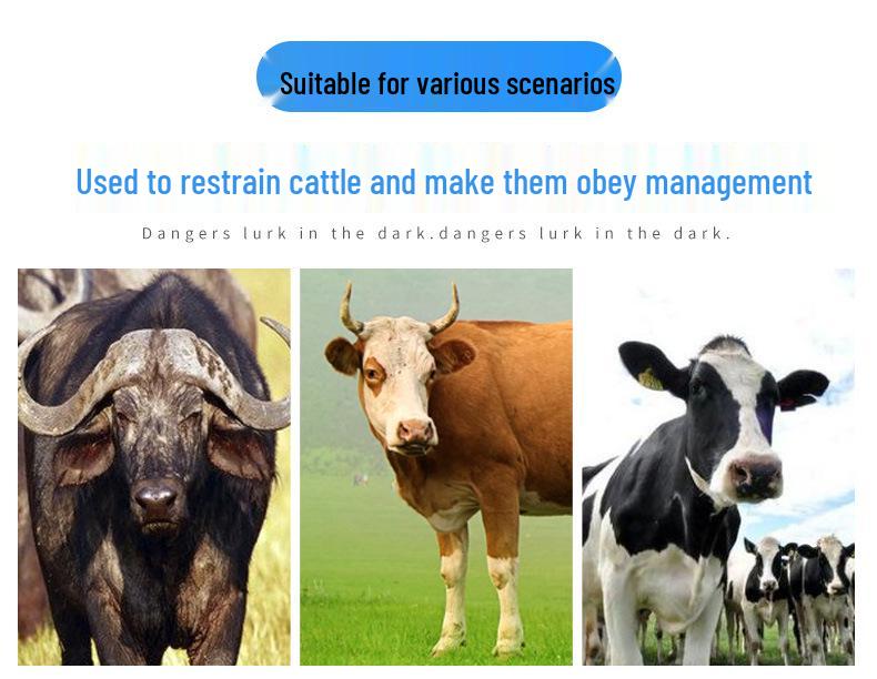 Cattle Nose Pliers with Chain - Stainless Steel Piercing and Restraining Device for Livestock