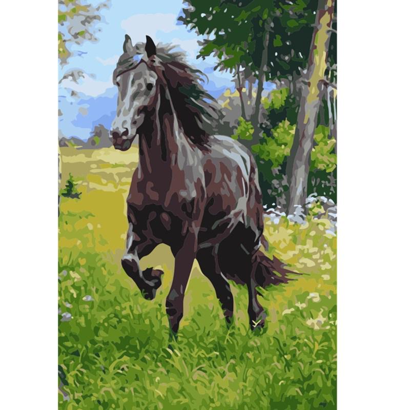 DIY Oil Painting By Numbers Kit Acrylic Paint Handpainted Home Art Decor Creative Gift