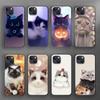 Słodki kociak etui na telefon iPhone Samsung Galaxy Redmi Xiaomi Oppo OnePlus Note S A 7 8 9 10 11 12 13 14 20 21 22 23 53 54 Pro Max Plus Ultra TPU Miękkie