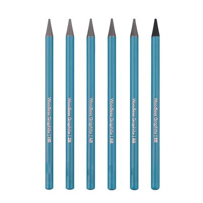 6 PCS Graphite Pencil Set HB 2B 4B 6B 8B EE Professional Woodless Graphite Pencils for Drawing