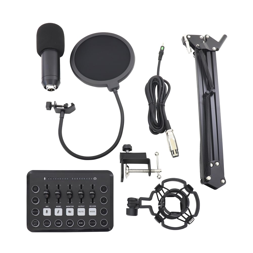 

PARTISAN 2 Color Audio Interface Microphone Stand Set Multifunctional Smartphone Distribution PC Distribution XLR Microphone Input Bluetooth