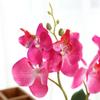 Fork Butterfly Orchid Bonsai Artificial Flower White Flowerpot Set Home Wedding Party Decoration