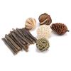 20/40/60Pcs Hamster Chew Sticks Eco-friendly Bite-Resistant Apple Tree Rabbit Chew Toys Pet Teeth Grinding Stick for Home