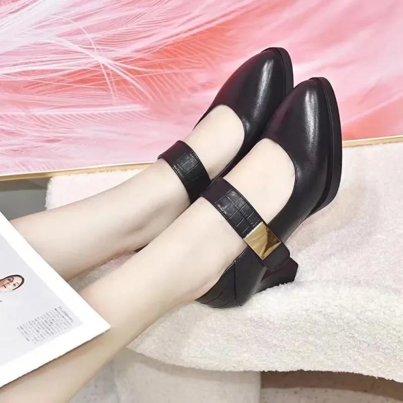 Fashion High heels women's shoes 2024 spring new British style pointed waterproof platform thick heel buckle women's fashion shoe list