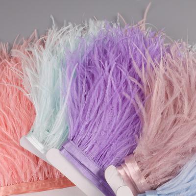 Frangia di Piume di Struzzo 2M 55 colori selezionati Cucito per Abbigliamento Artigianato Abito con Nastro di Piume Soffice