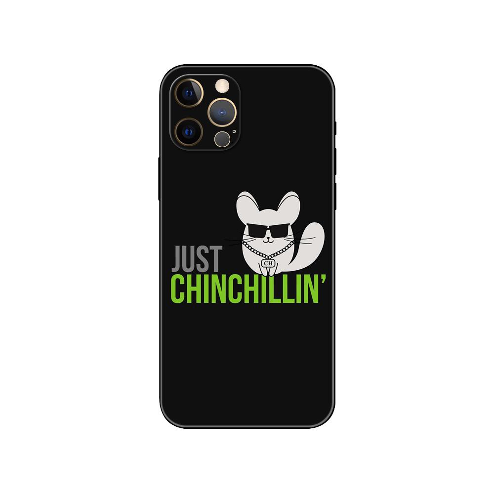 Cute Cartoon Chinchilla phone case for iphone 5 5s 2020se 6 6s 7 8 plus x 10 XR XS 11 12 13 mini pro MAX black tpu back cover