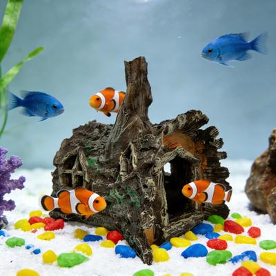 Peces y mascotas acuáticas – Decoración de peceras
