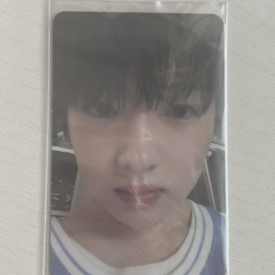 

Sakuya First-run Limited Edition Pop Pop Ncitywish Photocard