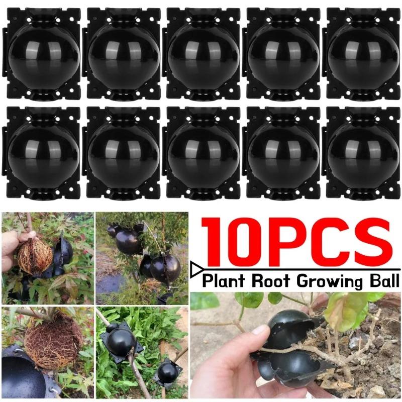 10PCS Reusable Plant Rooting Ball Transplant Nursery Ball Sapling Propagation Grafting Breeding Case for Home Gardening Accesorries