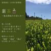 2025 Harvest First Harvest New Kagoshima Prefecture Chiran Tea New Tea 100g X 2 Bottles Light Rich Mellow Japanese Green Deep Steamed Ogino 2 Green
