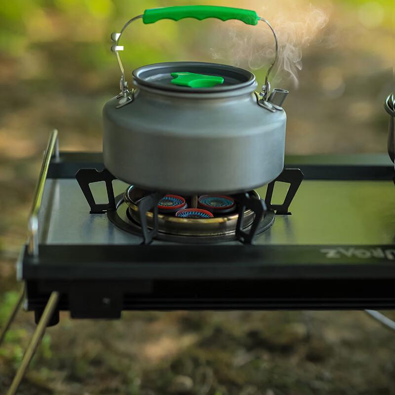 Oeny Portable Double Burner Camping Gas Stove