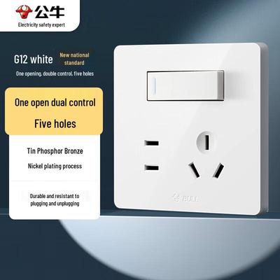 G12 Series 86-Type Recessed 5-Hole Dual Control Switch Socket