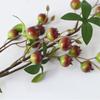 Künstliche Granatapfelbeeren Zweige Falsche Fruchtbeeren Picks mit Blättern für Heim-Blumenarrangements
