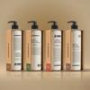MARMAR;D Lacscent Body Lotion 488mL Choose 1 Out of 4 Options